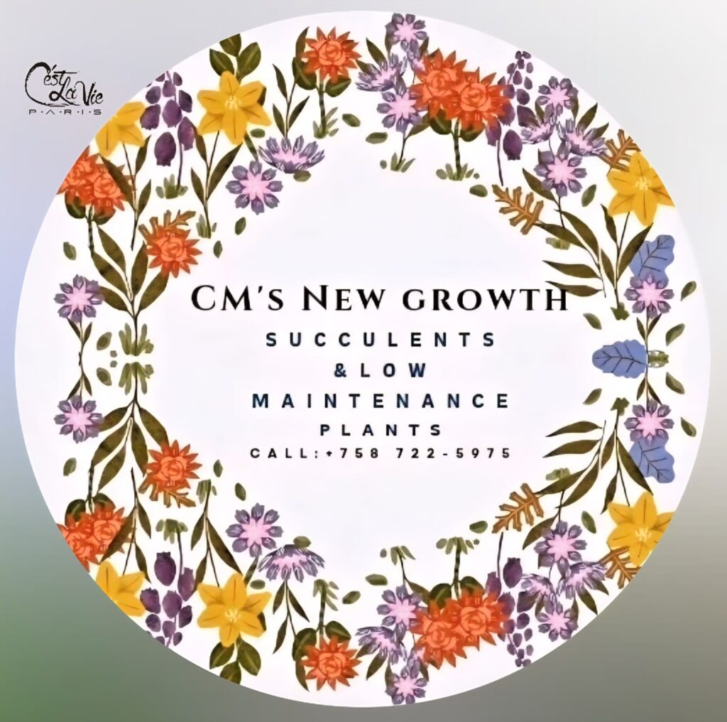company cms new growth 1024x1016